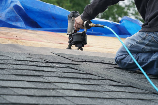 Residential Roof Replacement in Sorgho, KY